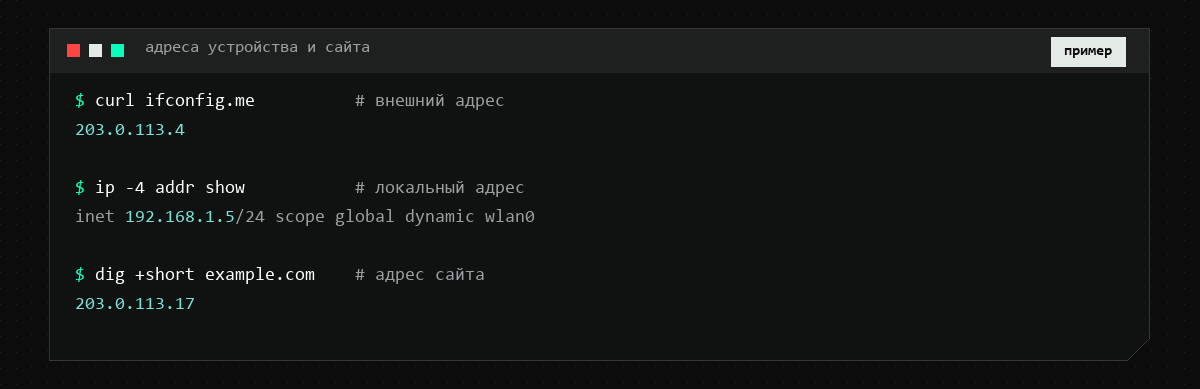 Терминал: команда curl ifconfig.me показывает внешний адрес, ip addr — локальный, dig — адрес сайта