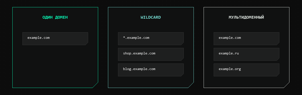 Три варианта: сертификат на один домен, Wildcard на все поддомены, мультидоменный на несколько разных доменов