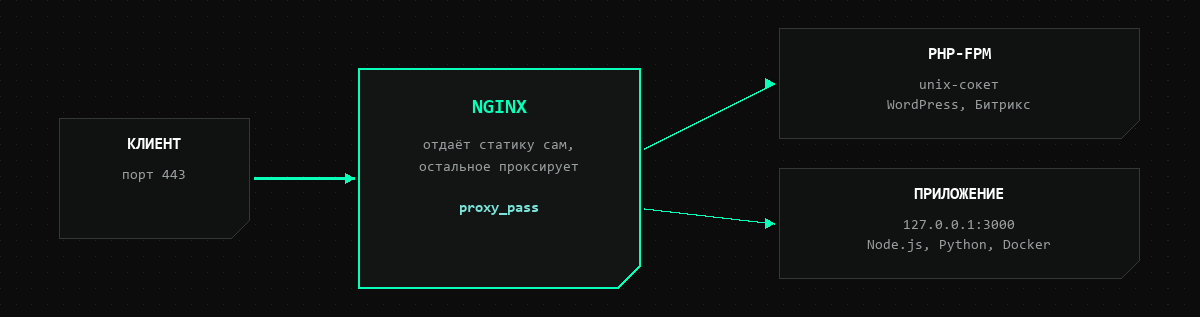 Схема обратного прокси: Nginx отдаёт статику сам, а запросы к приложению передаёт в PHP-FPM или на localhost:3000